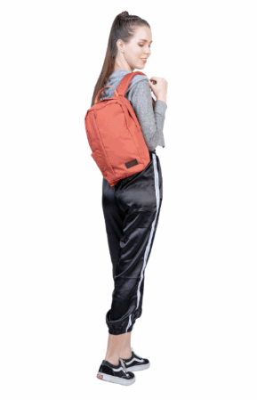 Small Flight Backpack 12L