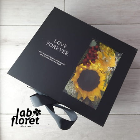 FD-10 Sunflower Box